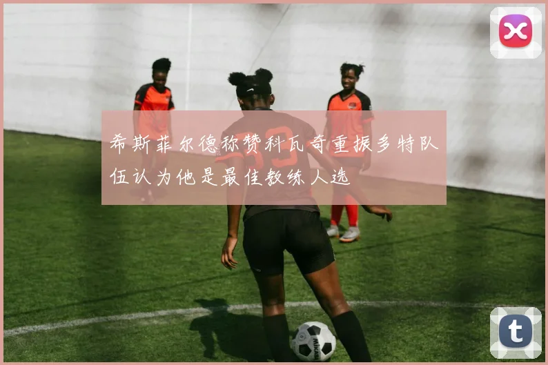 希斯菲尔德称赞科瓦奇重振多特队伍认为他是最佳教练人选