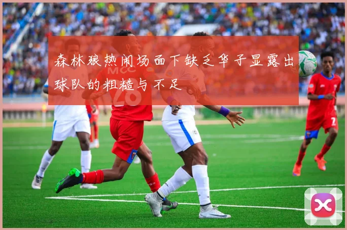 森林狼热闹场面下缺乏华子显露出球队的粗糙与不足