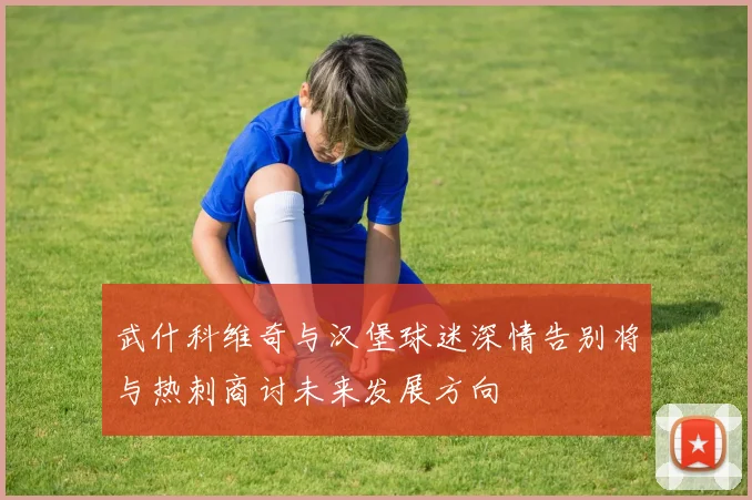 武什科维奇与汉堡球迷深情告别将与热刺商讨未来发展方向