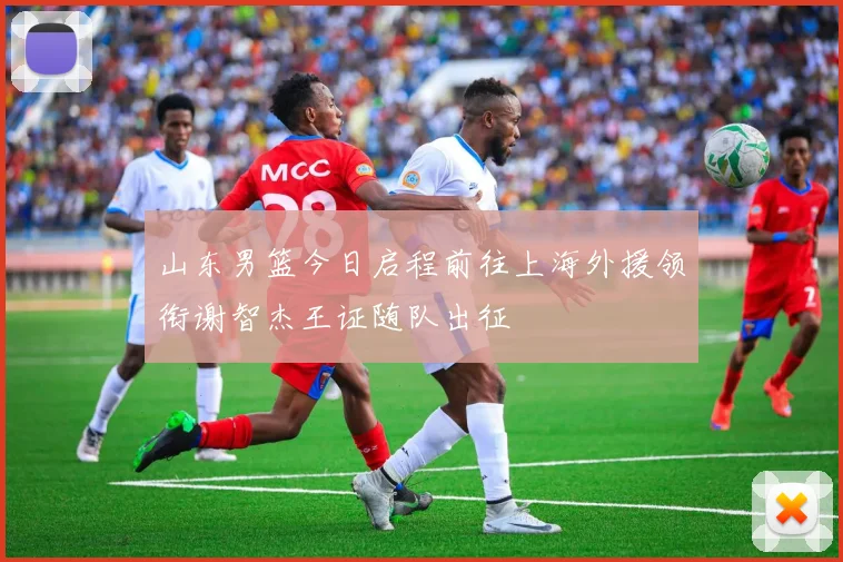 山东男篮今日启程前往上海外援领衔谢智杰王证随队出征